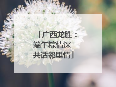 广西龙胜：端午粽情深 共话邻里情