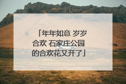 年年如意 岁岁合欢 石家庄公园的合欢花又开了