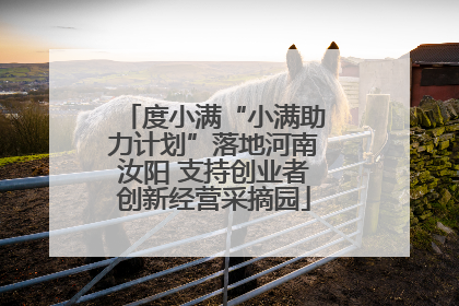 度小满“小满助力计划”落地河南汝阳 支持创业者创新经营采摘园