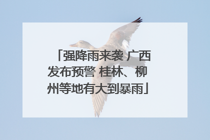 强降雨来袭 广西发布预警 桂林、柳州等地有大到暴雨