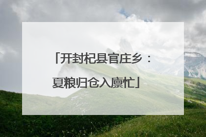 开封杞县官庄乡：夏粮归仓入廪忙