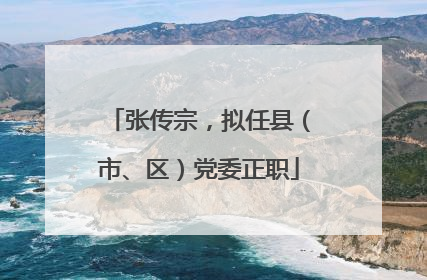 张传宗，拟任县（市、区）党委正职