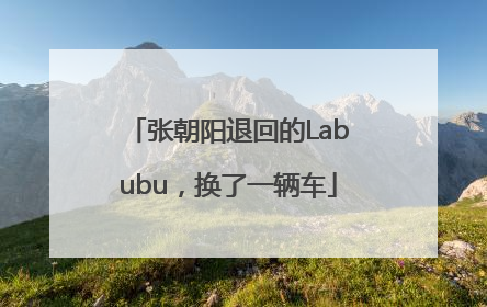 张朝阳退回的Labubu，换了一辆车