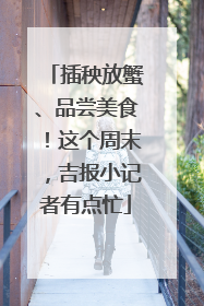 插秧放蟹、品尝美食！这个周末，吉报小记者有点忙