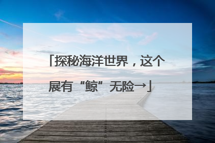 探秘海洋世界，这个展有“鲸”无险→