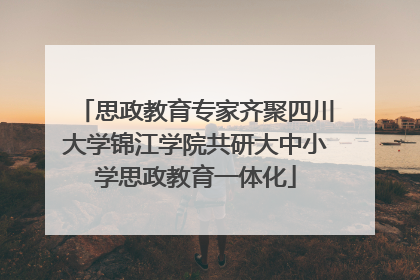 思政教育专家齐聚四川大学锦江学院共研大中小学思政教育一体化
