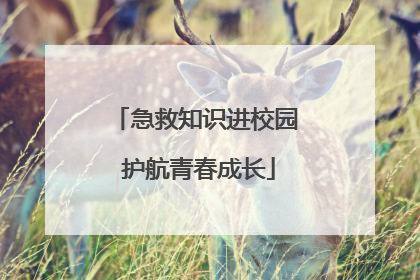 急救知识进校园 护航青春成长