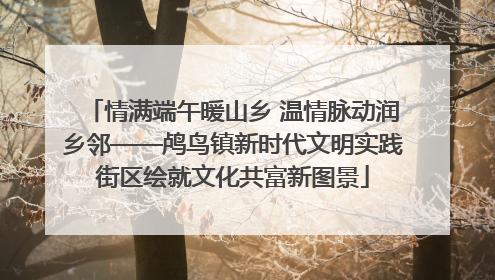 情满端午暖山乡 温情脉动润乡邻——鸬鸟镇新时代文明实践街区绘就文化共富新图景