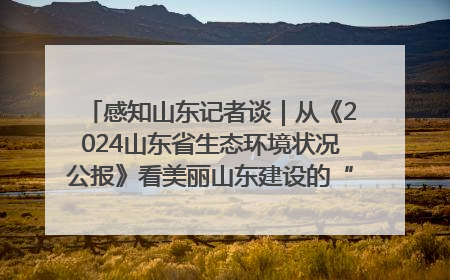 感知山东记者谈｜从《2024山东省生态环境状况公报》看美丽山东建设的“成绩单”与“任务书”