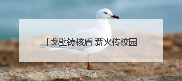 戈壁铸核盾 薪火传校园 全国模范退役军人洛阳宣讲“两弹一星”精神