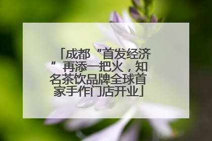 成都“首发经济”再添一把火，知名茶饮品牌全球首家手作门店开业