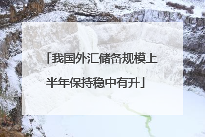 我国外汇储备规模上半年保持稳中有升