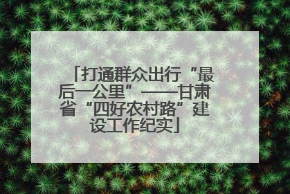 打通群众出行“最后一公里”——甘肃省“四好农村路”建设工作纪实