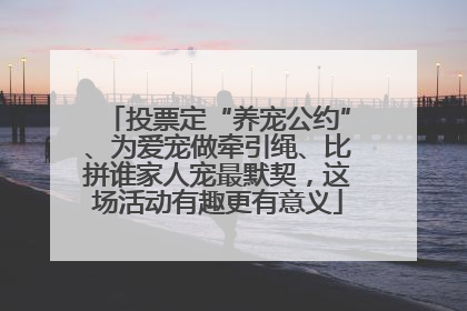 投票定“养宠公约”、为爱宠做牵引绳、比拼谁家人宠最默契，这场活动有趣更有意义
