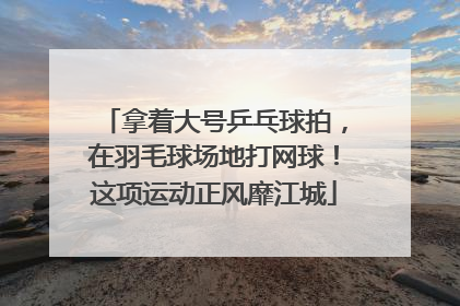 拿着大号乒乓球拍，在羽毛球场地打网球！这项运动正风靡江城