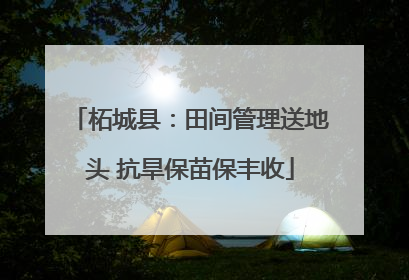 柘城县：田间管理送地头 抗旱保苗保丰收