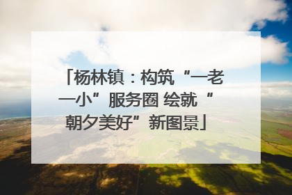 杨林镇：构筑“一老一小”服务圈 绘就“朝夕美好”新图景