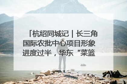 杭绍同城记｜长三角国际农批中心项目形象进度过半，华东“菜篮子”建设加码提速！