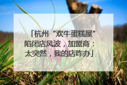杭州“欢牛蛋糕屋”陷闭店风波，加盟商：太突然，我的店咋办