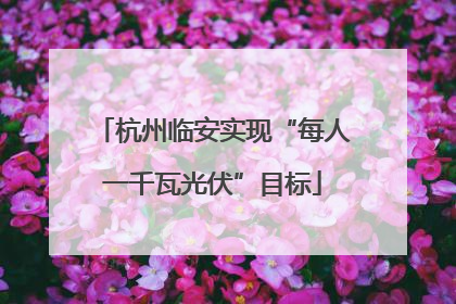 杭州临安实现“每人一千瓦光伏”目标