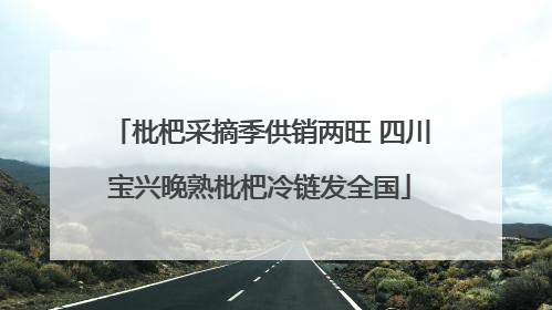 枇杷采摘季供销两旺 四川宝兴晚熟枇杷冷链发全国
