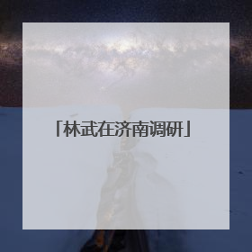 林武在济南调研