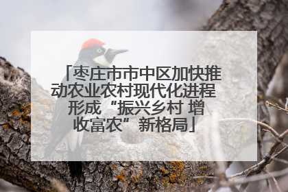 枣庄市市中区加快推动农业农村现代化进程 形成“振兴乡村 增收富农”新格局