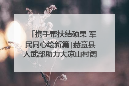 携手帮扶结硕果 军民同心绘新篇∣赫章县人武部助力大凉山村阔步乡村振兴路