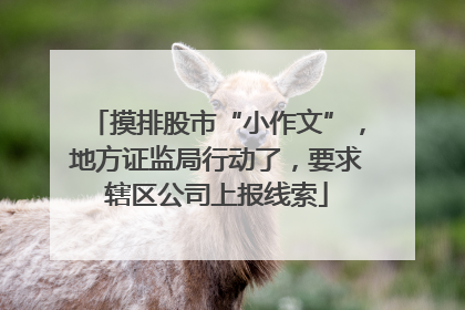 摸排股市“小作文”，地方证监局行动了，要求辖区公司上报线索