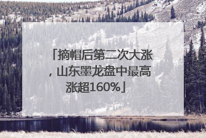 摘帽后第二次大涨，山东墨龙盘中最高涨超160%