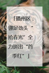播州区：铆足劲头“抢春光”全力拼出“首季红”