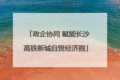 政企协同 赋能长沙高铁新城自贸经济圈