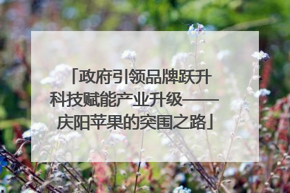 政府引领品牌跃升 科技赋能产业升级——庆阳苹果的突围之路