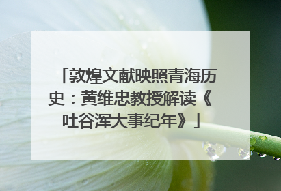 敦煌文献映照青海历史：黄维忠教授解读《吐谷浑大事纪年》