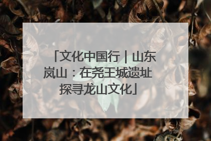 文化中国行｜山东岚山：在尧王城遗址探寻龙山文化