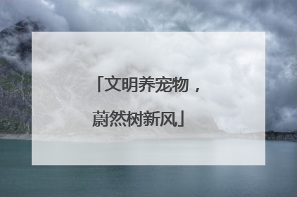 文明养宠物，蔚然树新风