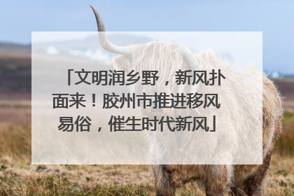 文明润乡野，新风扑面来！胶州市推进移风易俗，催生时代新风