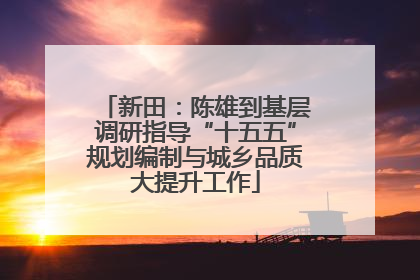 新田：陈雄到基层调研指导“十五五”规划编制与城乡品质大提升工作