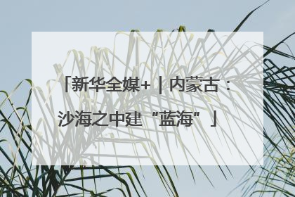 新华全媒+｜内蒙古：沙海之中建“蓝海”