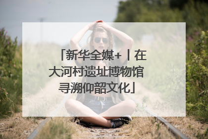 新华全媒+丨在大河村遗址博物馆寻溯仰韶文化