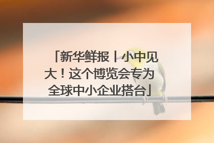 新华鲜报丨小中见大！这个博览会专为全球中小企业搭台