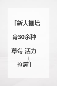 新大棚培育30余种草莓 活力拉满