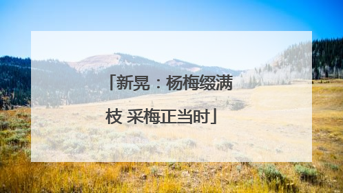 新晃：杨梅缀满枝 采梅正当时