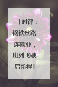 时评：钢铁丝路连欧亚，班列飞驰启新程