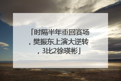时隔半年重回赛场，樊振东上演大逆转，3比2徐瑛彬