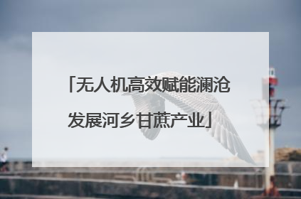无人机高效赋能澜沧发展河乡甘蔗产业