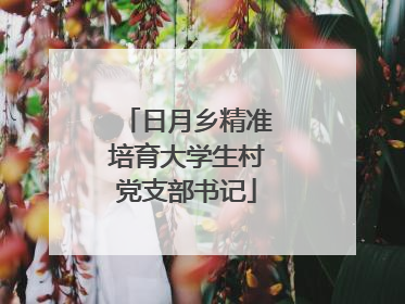 日月乡精准培育大学生村党支部书记