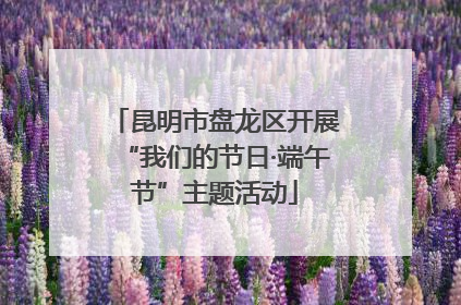 昆明市盘龙区开展“我们的节日·端午节”主题活动