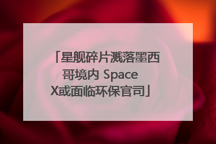 星舰碎片溅落墨西哥境内 SpaceX或面临环保官司