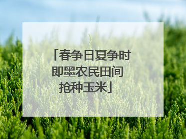 春争日夏争时 即墨农民田间抢种玉米